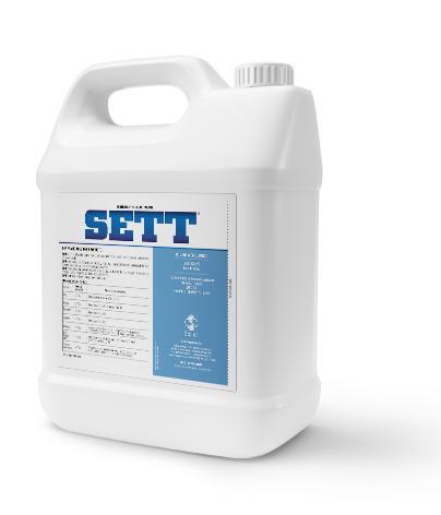 Sett
