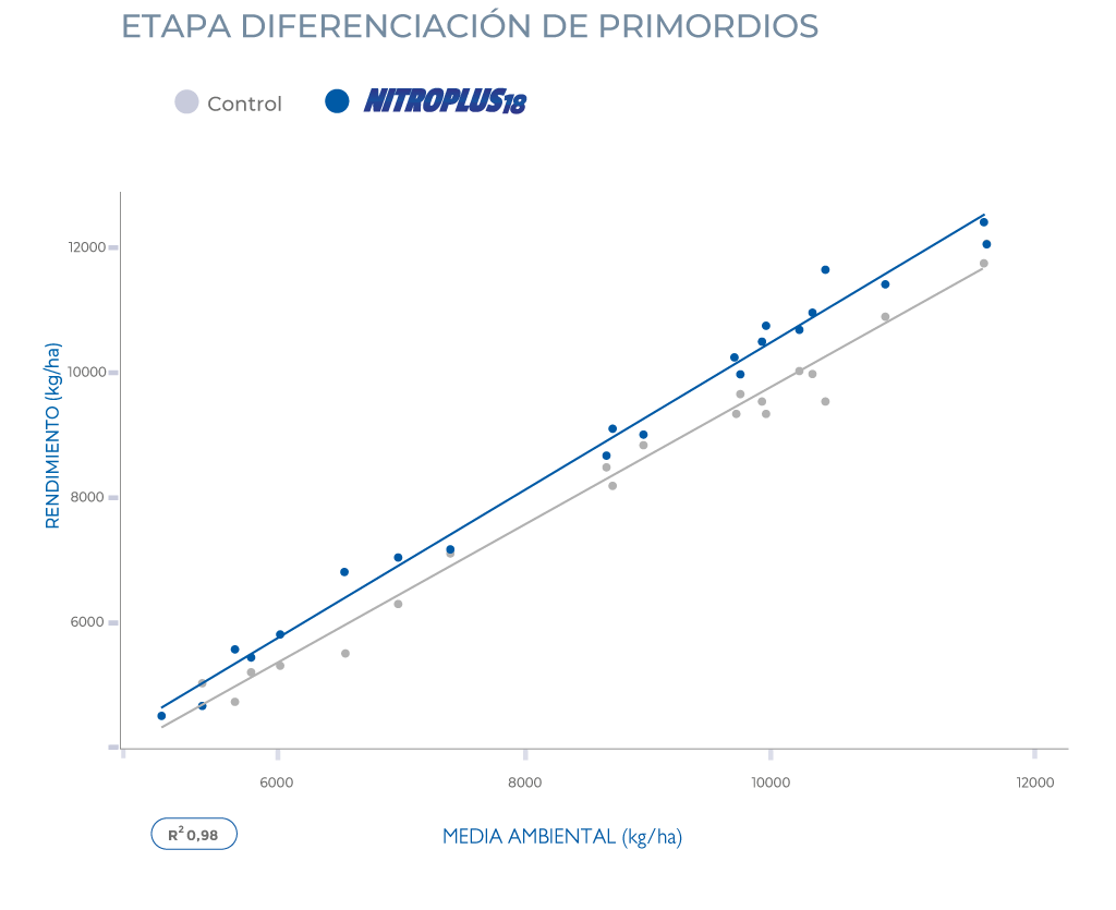 ensayos