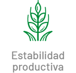 estabilidad