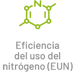 nitrogeno