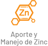 zinc